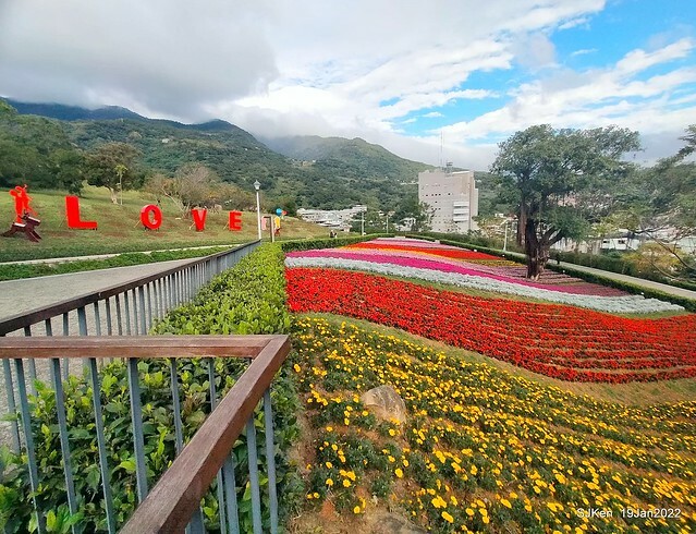 Park blossoms at「 北投社三層崎公園」, Taipei, Taiwan, SJKen, Jan 19, 2022.