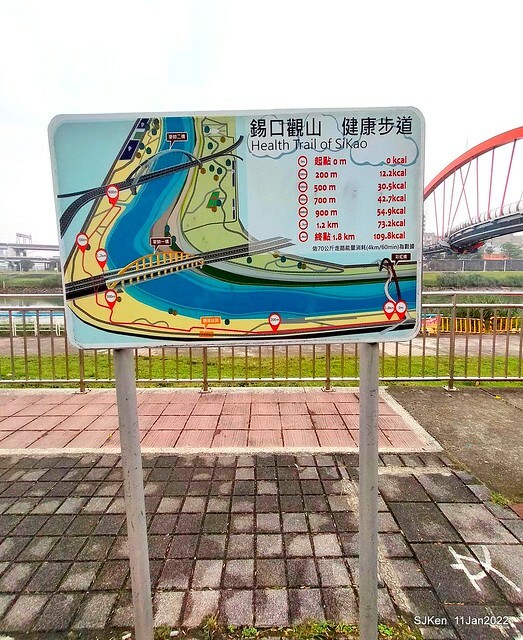 成美左岸河濱公園花海(Flower blossoms of Cheng-Me riverbank garden), Taipei, Taiwan, SJKen, Jan 11, 2022.