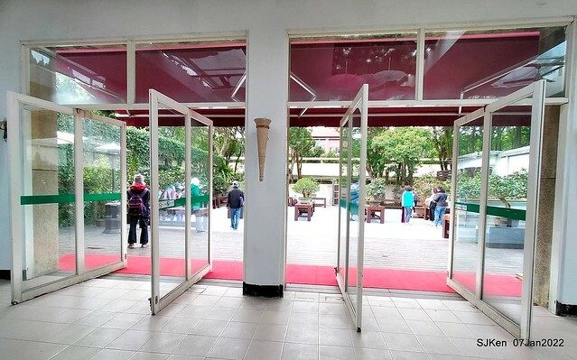 2022「花IN台北」台北花季花卉試驗中心茶花展(2022 Camillia exhibition), Taipei, Taiwan, SJKen,Jan 7,  2022.