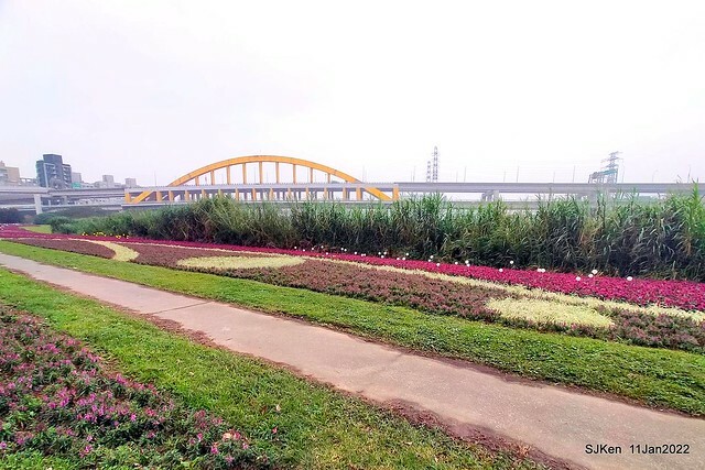 成美左岸河濱公園花海(Flower blossoms of Cheng-Me riverbank garden), Taipei, Taiwan, SJKen, Jan 11, 2022.