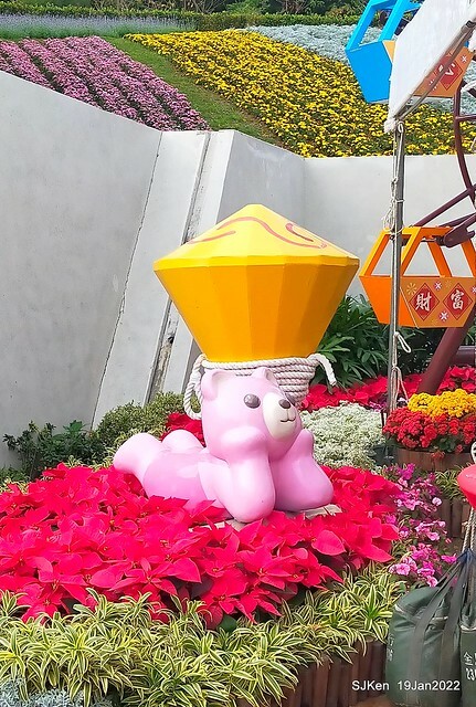 Park blossoms at「 北投社三層崎公園」, Taipei, Taiwan, SJKen, Jan 19, 2022.