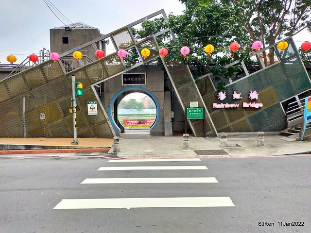 成美左岸河濱公園花海(Flower blossoms of Cheng-Me riverbank garden), Taipei, Taiwan, SJKen, Jan 11, 2022.