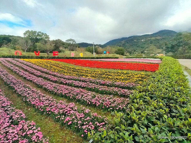 Park blossoms at「 北投社三層崎公園」, Taipei, Taiwan, SJKen, Jan 19, 2022.