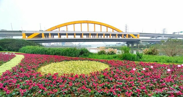 成美左岸河濱公園花海(Flower blossoms of Cheng-Me riverbank garden), Taipei, Taiwan, SJKen, Jan 11, 2022.