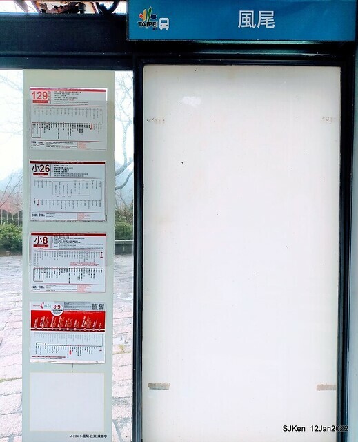 「風尾步道賞櫻」(Cherry blossoms at Windtail, Yangming mountain, Taipei, Taiwan, SJKen, Jan 12, 2022.