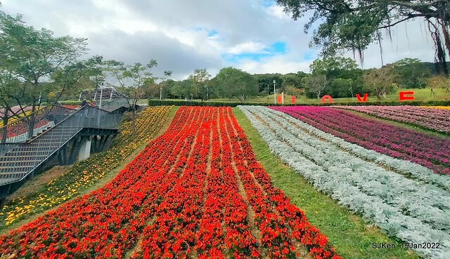Park blossoms at「 北投社三層崎公園」, Taipei, Taiwan, SJKen, Jan 19, 2022.