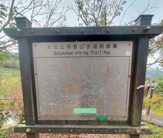 「風尾步道賞櫻」(Cherry blossoms at Windtail, Yangming mountain, Taipei, Taiwan, SJKen, Jan 12, 2022.