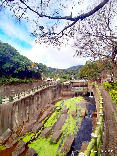 Park blossoms at「 北投社三層崎公園」, Taipei, Taiwan, SJKen, Jan 19, 2022.
