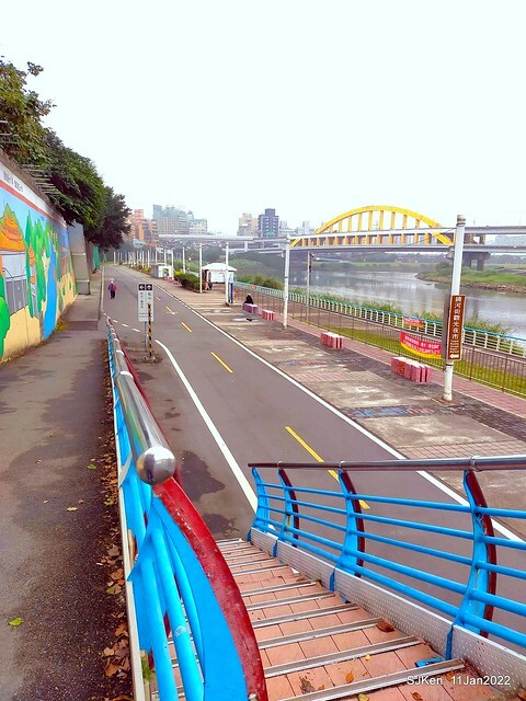 成美左岸河濱公園花海(Flower blossoms of Cheng-Me riverbank garden), Taipei, Taiwan, SJKen, Jan 11, 2022.
