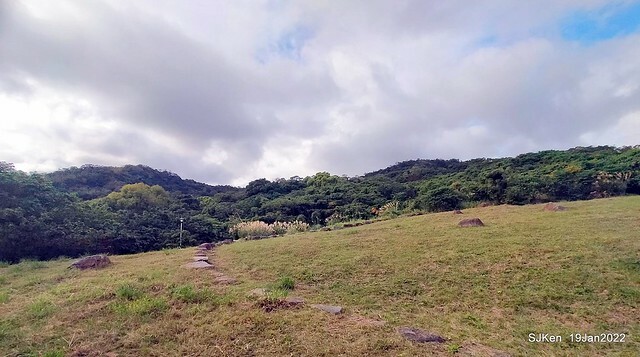 Park blossoms at「 北投社三層崎公園」, Taipei, Taiwan, SJKen, Jan 19, 2022.