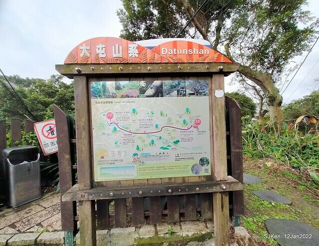 「風尾步道賞櫻」(Cherry blossoms at Windtail, Yangming mountain, Taipei, Taiwan, SJKen, Jan 12, 2022.