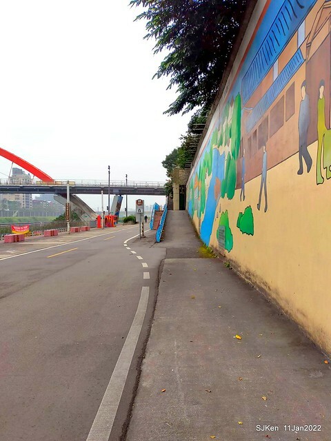 成美左岸河濱公園花海(Flower blossoms of Cheng-Me riverbank garden), Taipei, Taiwan, SJKen, Jan 11, 2022.