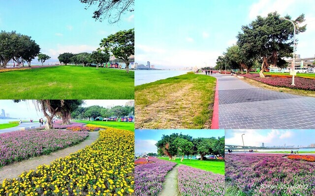 延平河濱公園花海(Flower blossoms of Yan-ping riverbank garden), Taipei, Taiwan, SJKen, Jan 5, 2022.