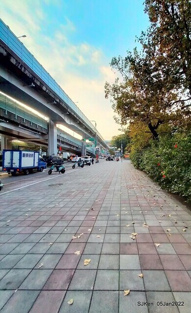 延平河濱公園花海(Flower blossoms of Yan-ping riverbank garden), Taipei, Taiwan, SJKen, Jan 5, 2022.
