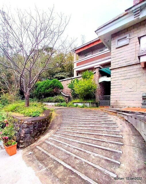 「風尾步道賞櫻」(Cherry blossoms at Windtail, Yangming mountain, Taipei, Taiwan, SJKen, Jan 12, 2022.