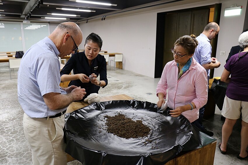 2022南投竹山燈會║燈會結合在地竹藝文化大放光彩,竹山文化園區、菸葉館、紫南宮、車籠埔斷層保存園區、遊山茶訪,春節連假竹山一日遊必去景點大推薦!