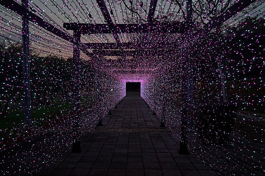 2022南投竹山燈會║燈會結合在地竹藝文化大放光彩,竹山文化園區、菸葉館、紫南宮、車籠埔斷層保存園區、遊山茶訪,春節連假竹山一日遊必去景點大推薦!