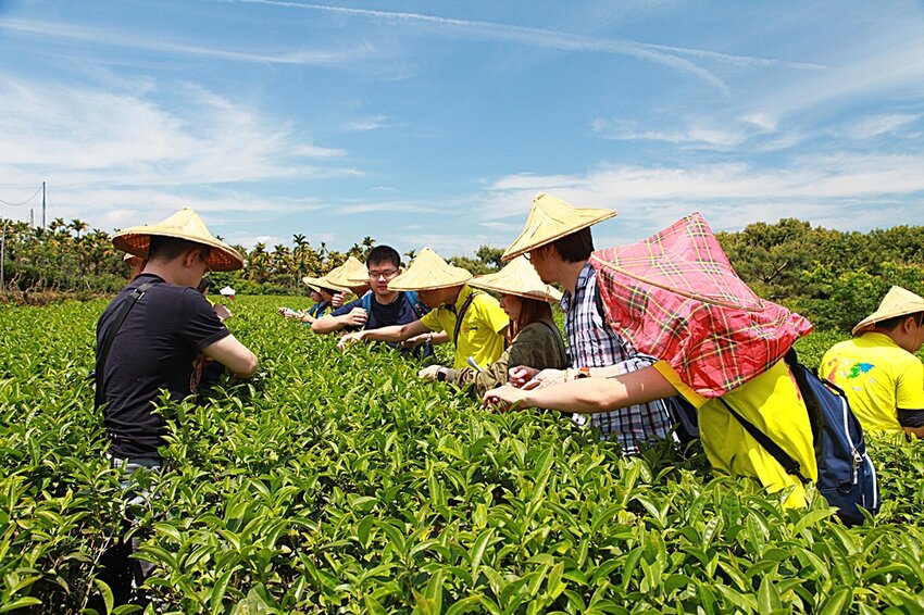 2022南投竹山燈會║燈會結合在地竹藝文化大放光彩,竹山文化園區、菸葉館、紫南宮、車籠埔斷層保存園區、遊山茶訪,春節連假竹山一日遊必去景點大推薦!
