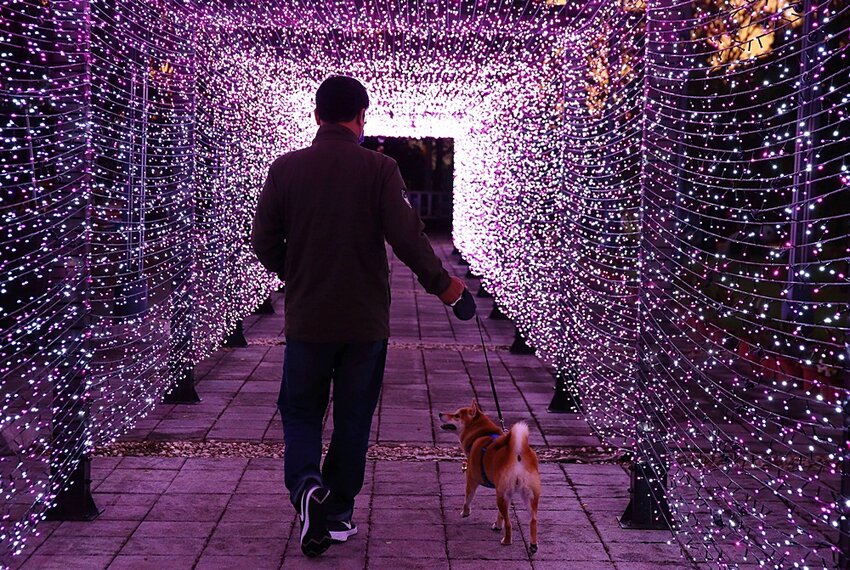 2022南投竹山燈會║燈會結合在地竹藝文化大放光彩,竹山文化園區、菸葉館、紫南宮、車籠埔斷層保存園區、遊山茶訪,春節連假竹山一日遊必去景點大推薦!