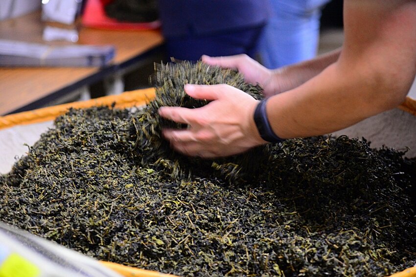 2022南投竹山燈會║燈會結合在地竹藝文化大放光彩,竹山文化園區、菸葉館、紫南宮、車籠埔斷層保存園區、遊山茶訪,春節連假竹山一日遊必去景點大推薦!