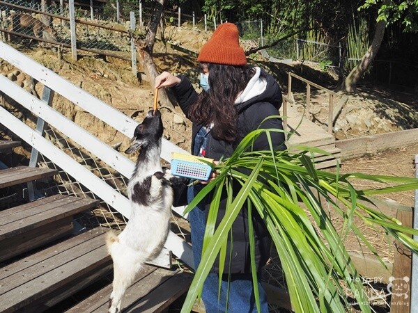 花鹿秘境-李家摸蜆農場 (11)