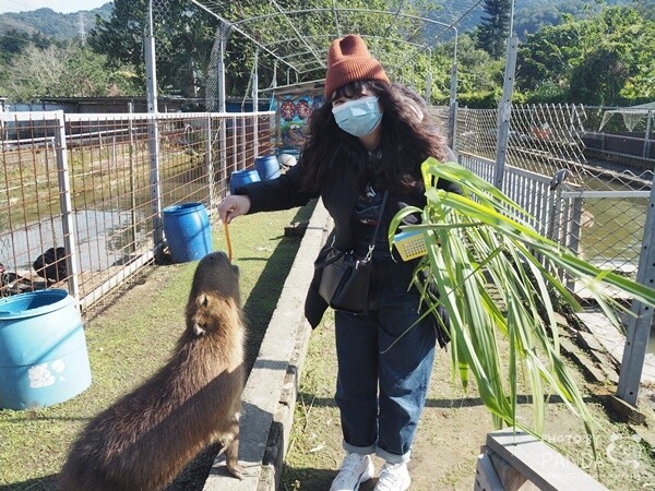 花鹿秘境-李家摸蜆農場 (14)