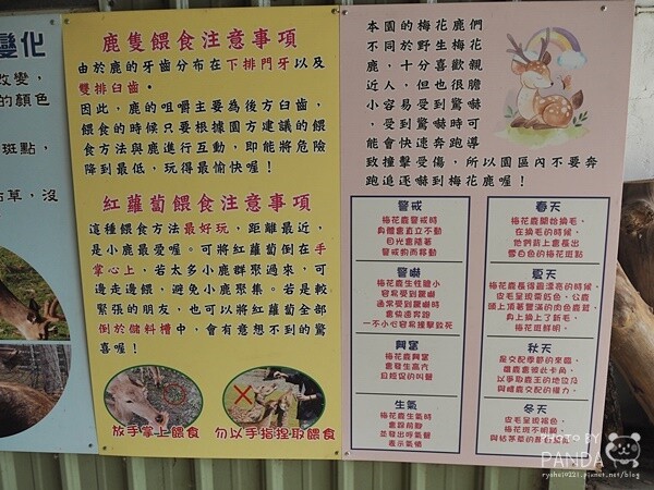 花鹿秘境-李家摸蜆農場 (35)