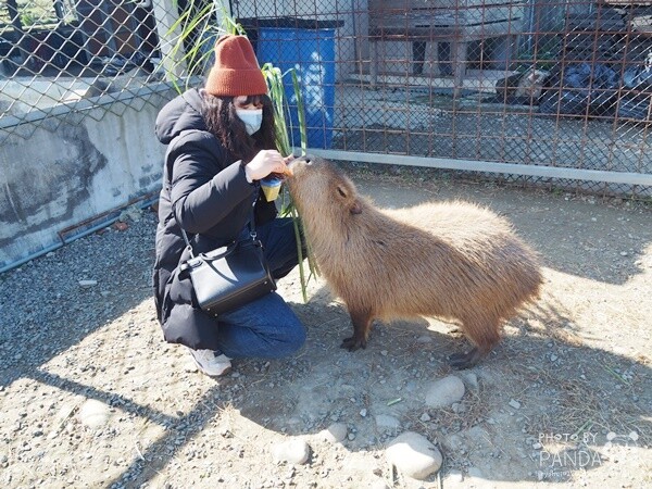 花鹿秘境-李家摸蜆農場 (17)