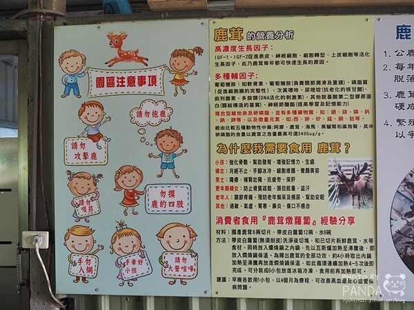 花鹿秘境-李家摸蜆農場 (33)