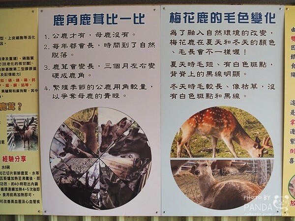 花鹿秘境-李家摸蜆農場 (34)