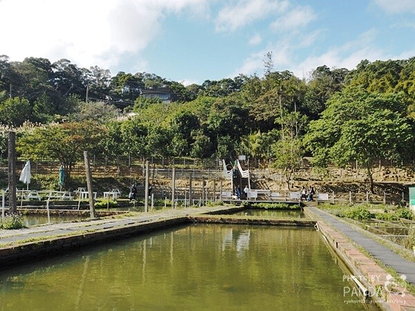 花鹿秘境-李家摸蜆農場 (28)
