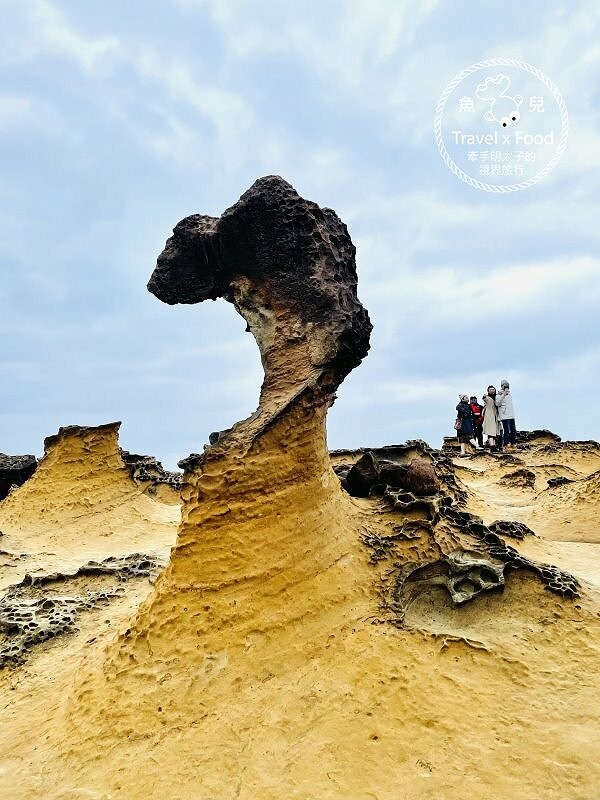 野柳地質公園｜小時候的回憶，穿燒燒來去觀海散心～ @魚兒 x 牽手明太子的「視」界旅行