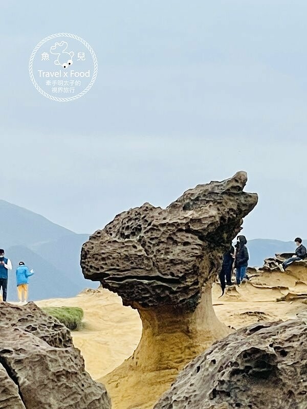 野柳地質公園｜小時候的回憶，穿燒燒來去觀海散心～ @魚兒 x 牽手明太子的「視」界旅行