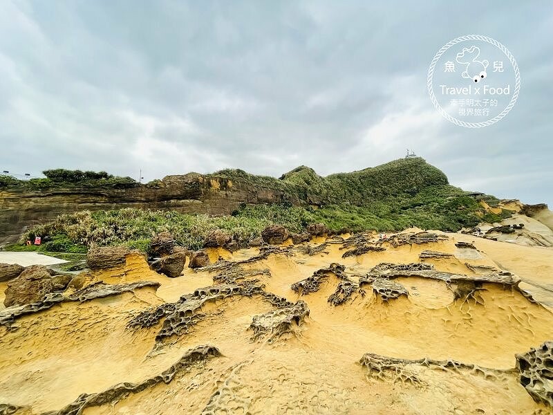 野柳地質公園｜小時候的回憶，穿燒燒來去觀海散心～ @魚兒 x 牽手明太子的「視」界旅行