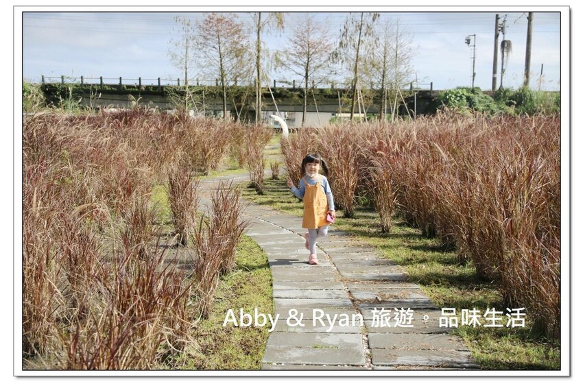 newIMG_1433.jpg newIMG_1433.jpg