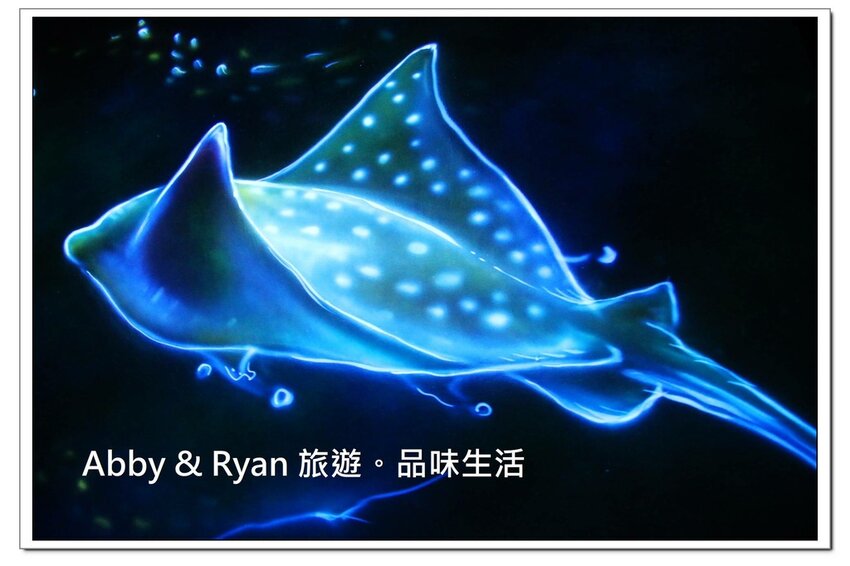 newIMG_1346.jpg newIMG_1346.jpg