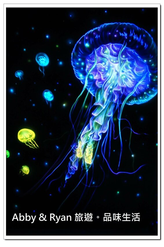 newIMG_1336.jpg newIMG_1336.jpg