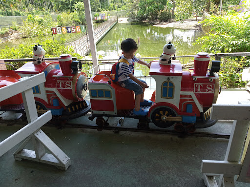 【走。遊嘉義】中埔鄉綠盈牧場