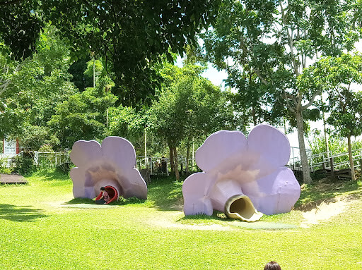 【走。遊嘉義】中埔鄉綠盈牧場