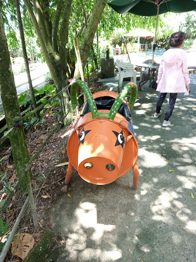 【走。遊嘉義】中埔鄉綠盈牧場