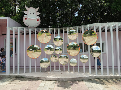 【走。遊嘉義】中埔鄉綠盈牧場