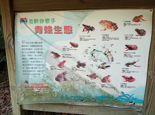 【走。遊嘉義】中埔鄉綠盈牧場