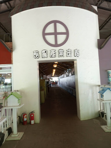 【走。遊嘉義】中埔鄉綠盈牧場