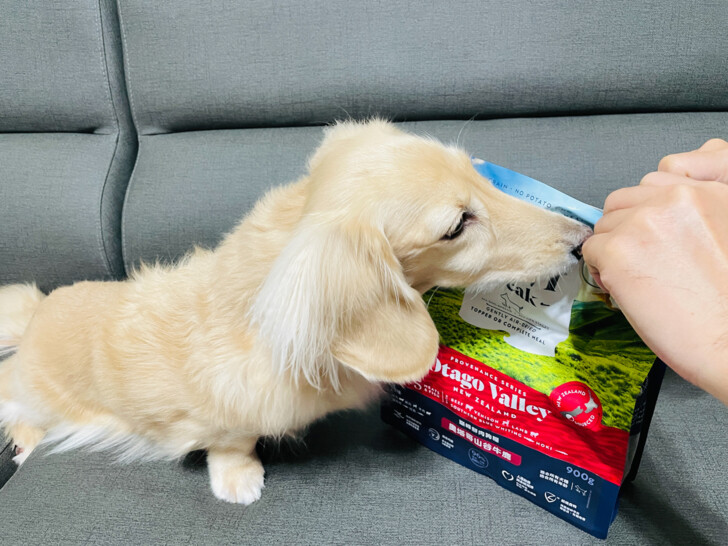 【ZIWI巔峰狗飼料】超強肉含量頂級飼料｜小臘腸咪咪一吃就愛上~