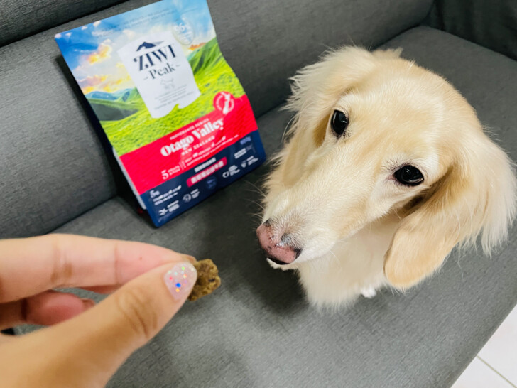 【ZIWI巔峰狗飼料】超強肉含量頂級飼料｜小臘腸咪咪一吃就愛上~