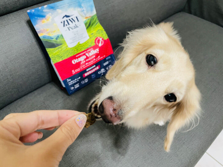 【ZIWI巔峰狗飼料】超強肉含量頂級飼料｜小臘腸咪咪一吃就愛上~