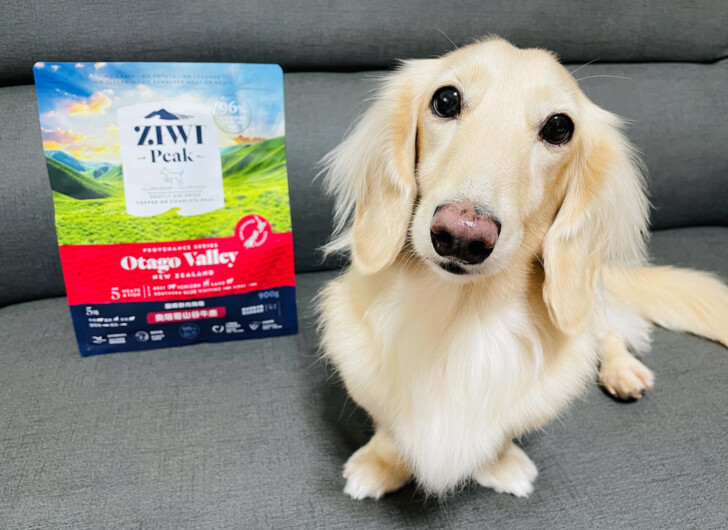 【ZIWI巔峰狗飼料】超強肉含量頂級飼料｜小臘腸咪咪一吃就愛上~