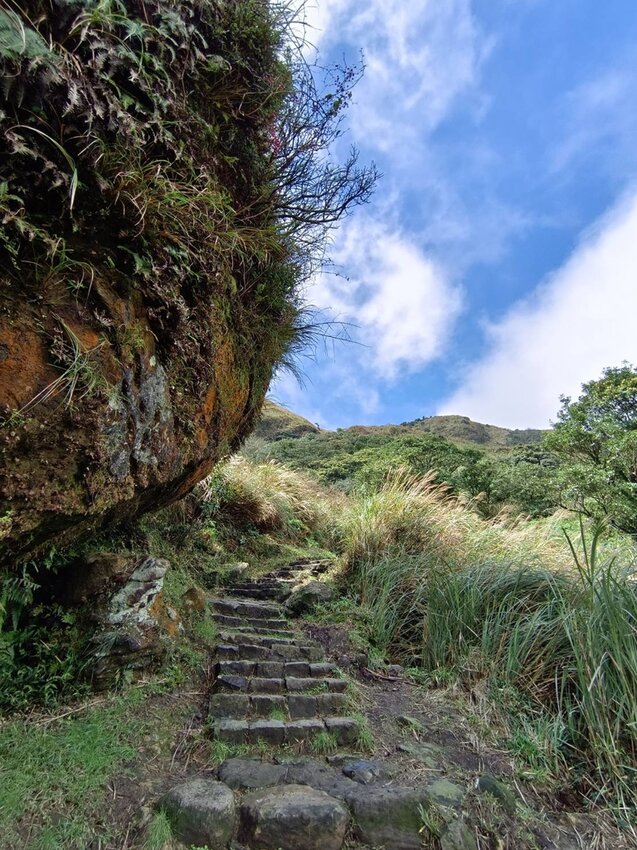 【台北.北投】陽明山免費景點。七星山冷水坑登山口-東峰-主峰-夢幻湖-冷水坑路線