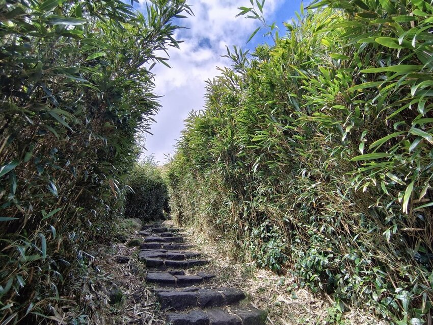 【台北.北投】陽明山免費景點。七星山冷水坑登山口-東峰-主峰-夢幻湖-冷水坑路線