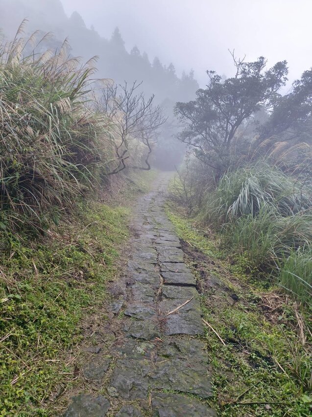 【台北.北投】陽明山免費景點。七星山冷水坑登山口-東峰-主峰-夢幻湖-冷水坑路線